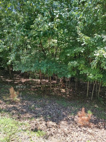 Lot 853 Matrix Lane, Ellijay, GA 30540