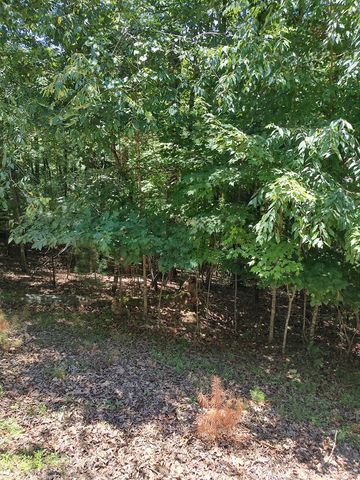 Lot 853 Matrix Lane, Ellijay, GA 30540