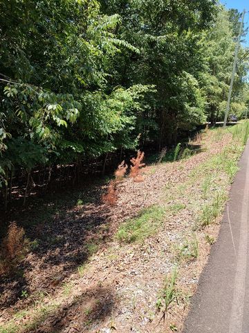 Lot 853 Matrix Lane, Ellijay, GA 30540