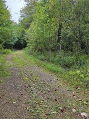 Woodland Ln, Albion, NY 13302