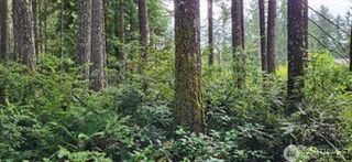 0 NW Holly Road, Seabeck, WA 98380