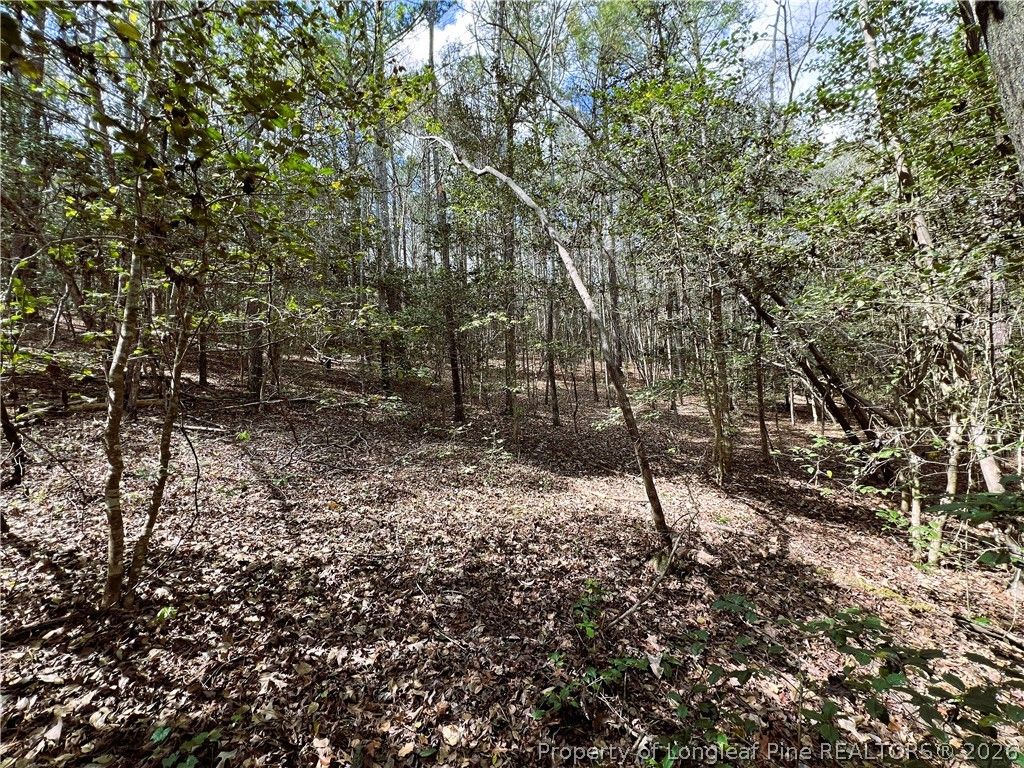 15688 NC 27 Highway W, Sanford, NC 27332 — photo 10
