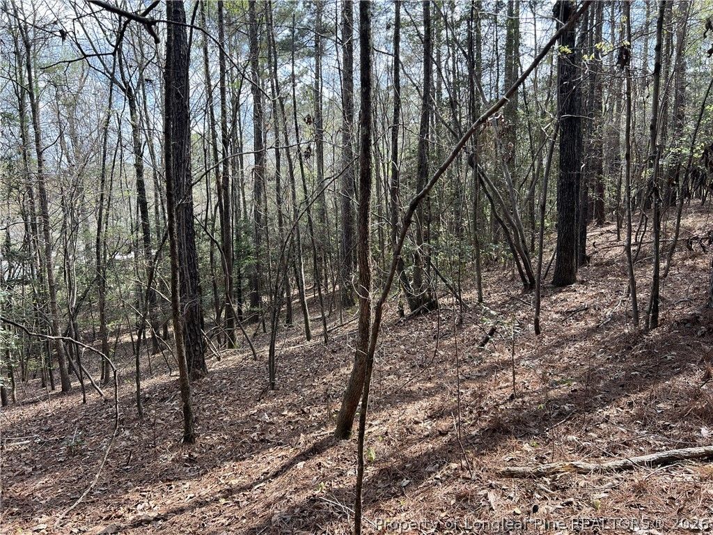 15688 NC 27 Highway W, Sanford, NC 27332 — photo 11