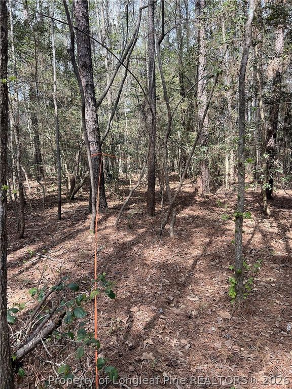 15688 NC 27 Highway W, Sanford, NC 27332 — photo 12