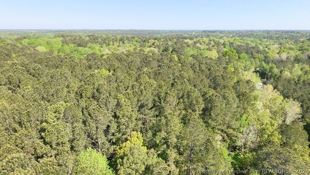 15688 NC 27 Highway W, Sanford, NC 27332 — photo 15