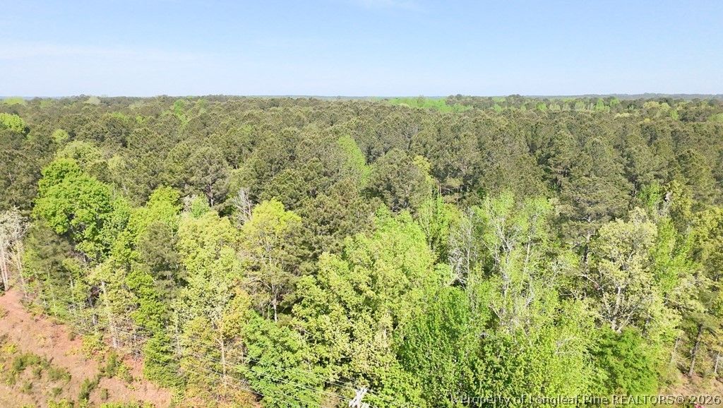 15688 NC 27 Highway W, Sanford, NC 27332 — photo 16