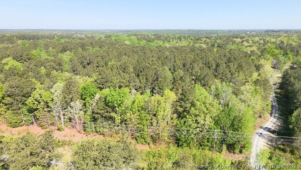 15688 NC 27 Highway W, Sanford, NC 27332 — photo 3