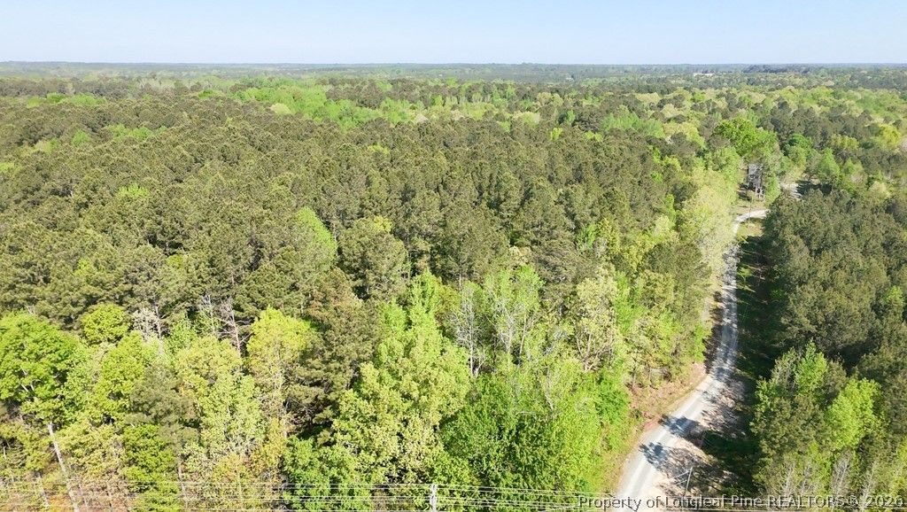 15688 NC 27 Highway W, Sanford, NC 27332 — photo 4