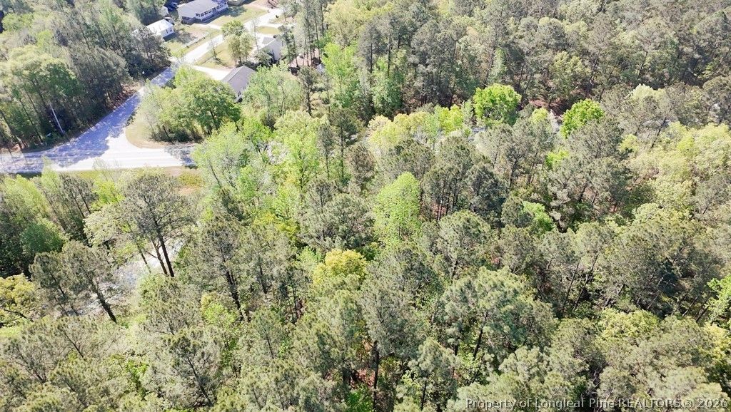 15688 NC 27 Highway W, Sanford, NC 27332 — photo 5