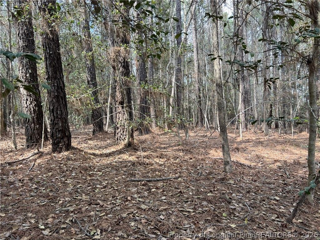 15688 NC 27 Highway W, Sanford, NC 27332 — photo 9