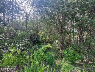 LOT 30 DRIFTWOOD CIRCLE, Sevierville, TN 37876