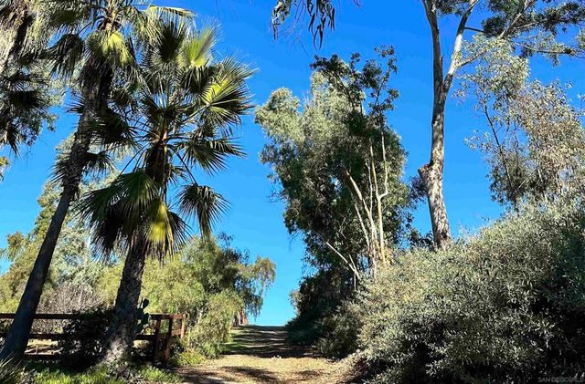 18096 Loma Alegre, Rancho Santa Fe, CA 92067