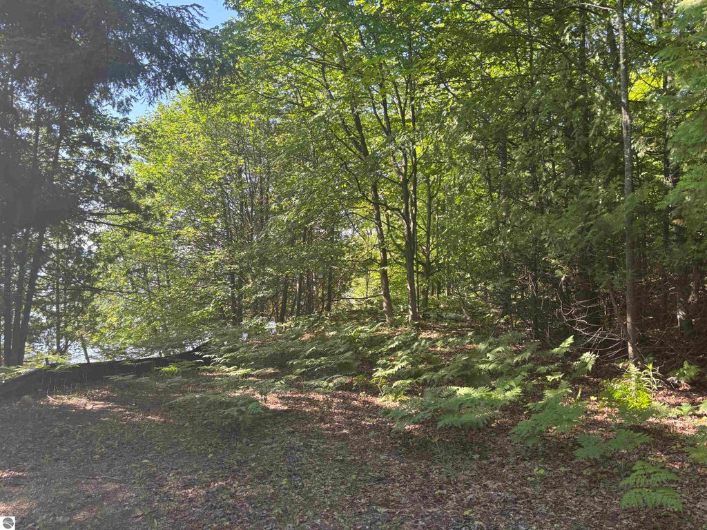 Image 10 of property listing at 7681 NW Torch Lake Drive, Kewadin, MI 49648