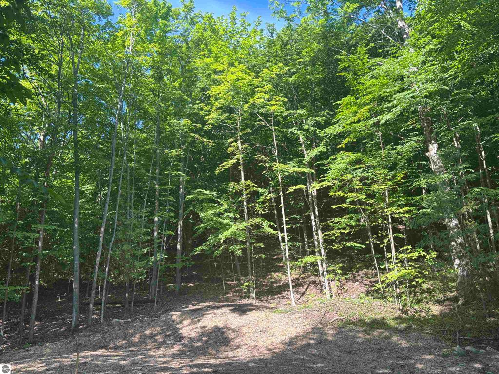 Image 11 of property listing at 7681 NW Torch Lake Drive, Kewadin, MI 49648