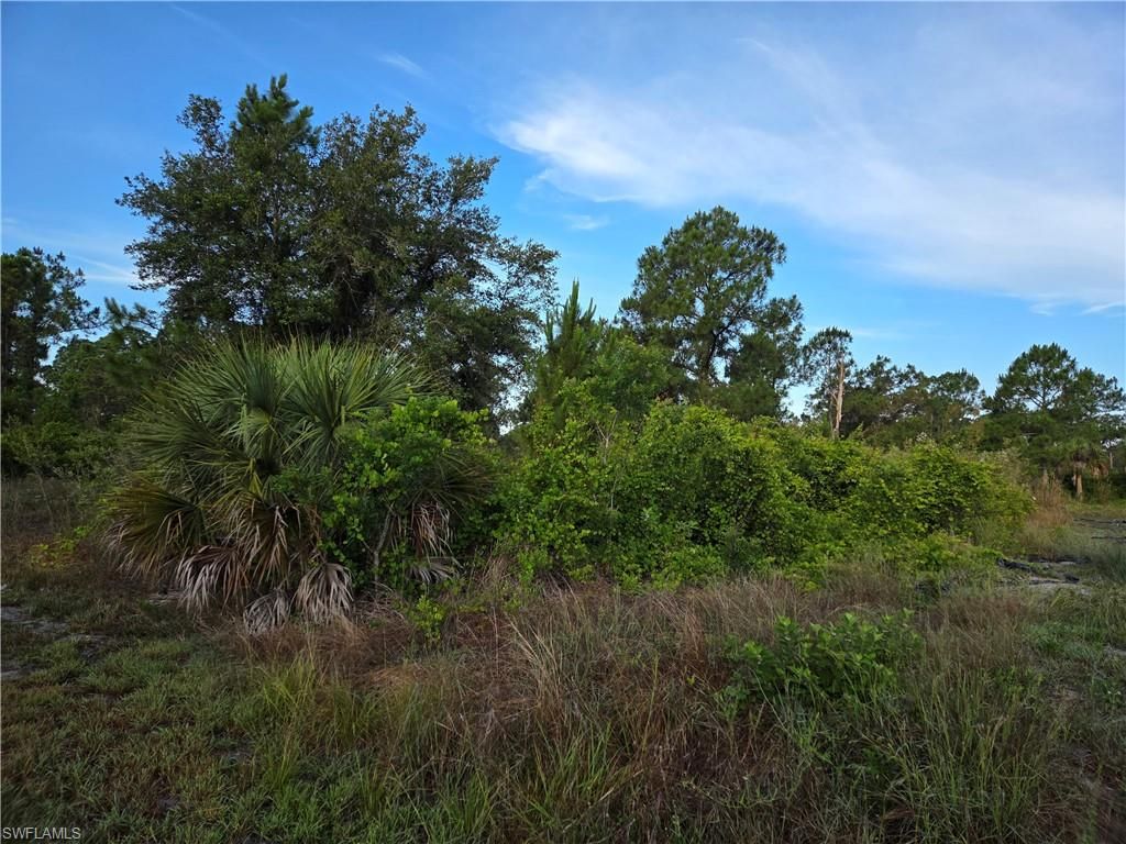 615 Johns AVE, LEHIGH ACRES, FL 33972 — exterior
