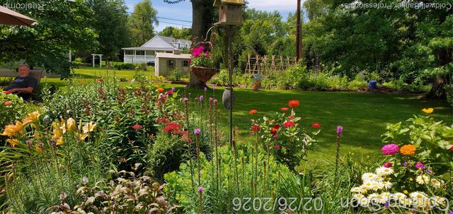 11547 McClumpha Road, Plymouth Charter Township, MI 48170