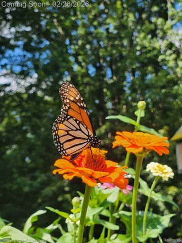 11547 McClumpha Road, Plymouth Charter Township, MI 48170