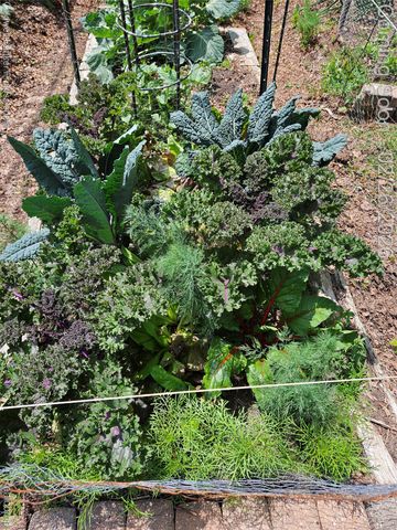 11547 McClumpha Road, Plymouth Charter Township, MI 48170