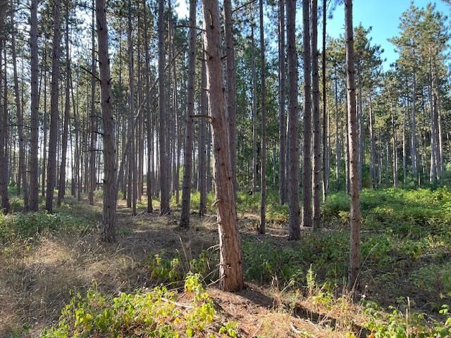 0 Samels Road, Williamsburg, MI 49690