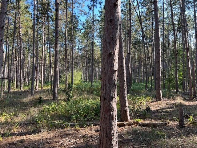 0 Samels Road, Williamsburg, MI 49690