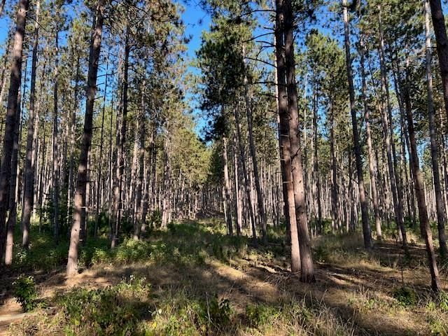 0 Samels Road, Williamsburg, MI 49690