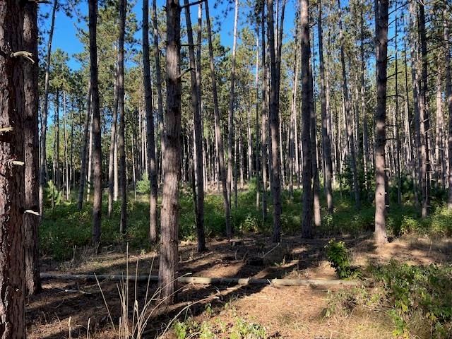 0 Samels Road, Williamsburg, MI 49690