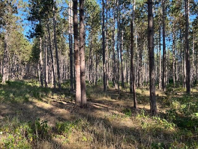 0 Samels Road, Williamsburg, MI 49690