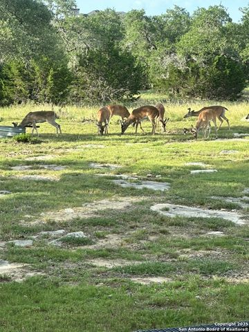 2319 Cascada, Spring Branch, TX 78070