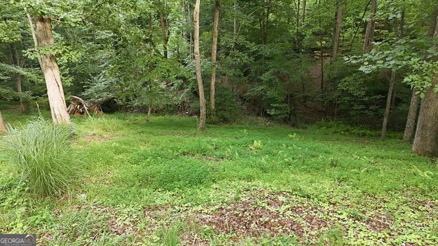 161 Arbor Way, Blue Ridge, GA 30513