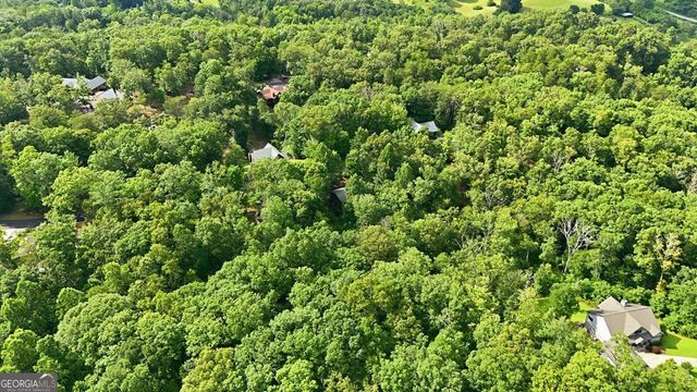 161 Arbor Way, Blue Ridge, GA 30513