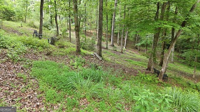 161 Arbor Way, Blue Ridge, GA 30513