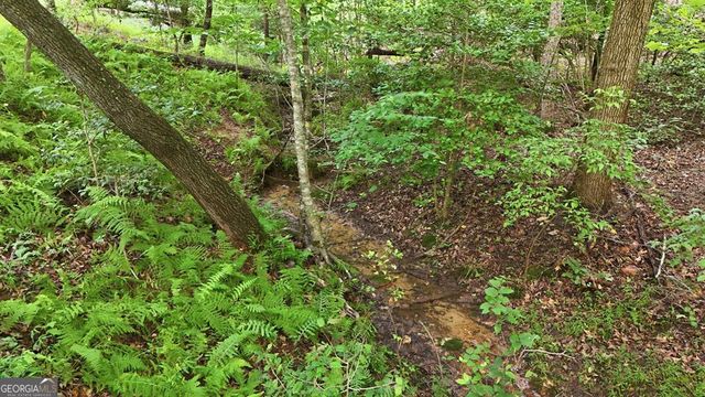 161 Arbor Way, Blue Ridge, GA 30513