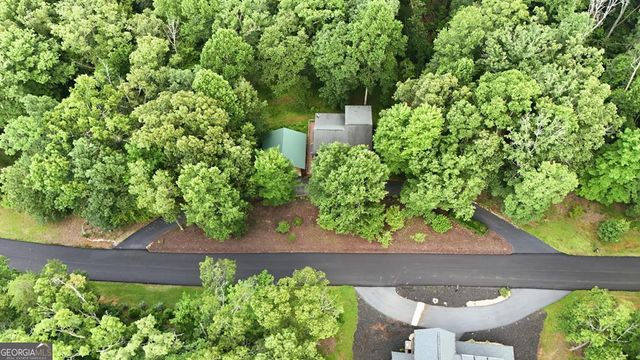 161 Arbor Way, Blue Ridge, GA 30513