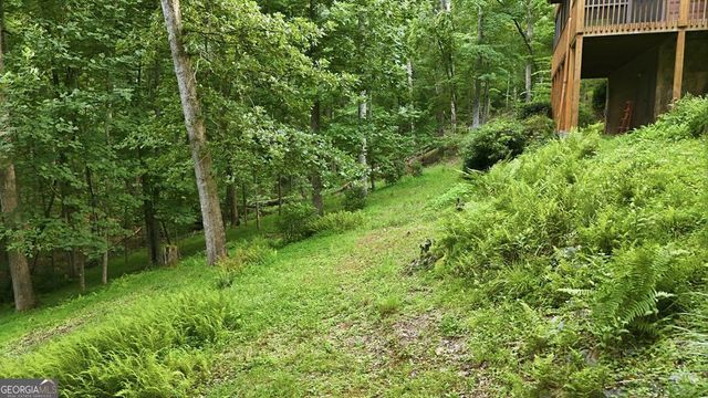 161 Arbor Way, Blue Ridge, GA 30513