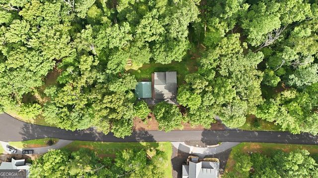 161 Arbor Way, Blue Ridge, GA 30513