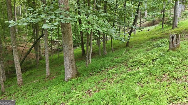 161 Arbor Way, Blue Ridge, GA 30513