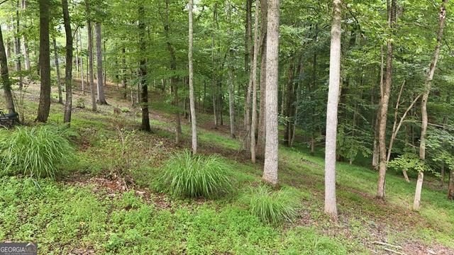 161 Arbor Way, Blue Ridge, GA 30513