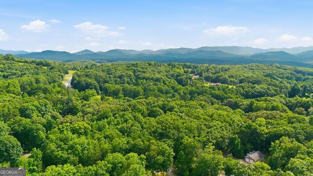161 Arbor Way, Blue Ridge, GA 30513