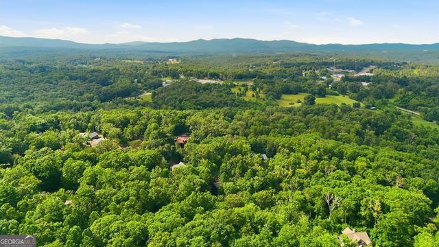 161 Arbor Way, Blue Ridge, GA 30513