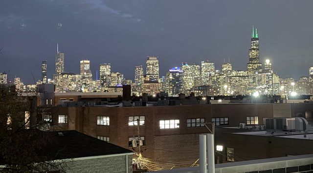 1433 W Cortez Street PH, Chicago, IL 60622