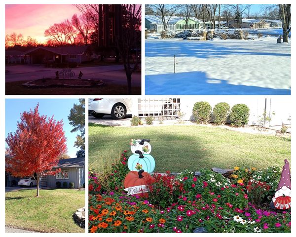 1 Magnolia Court, Branson, MO 65616