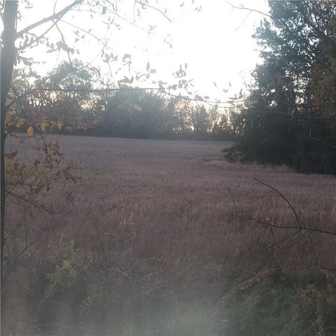 17-Acres E 315th Street, Drexel, MO 64742