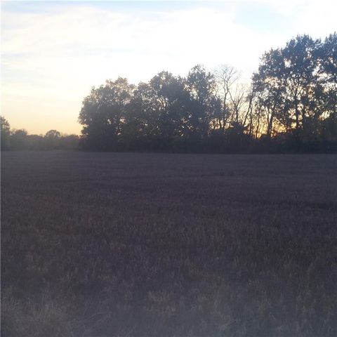 17-Acres E 315th Street, Drexel, MO 64742