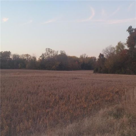 17-Acres E 315th Street, Drexel, MO 64742