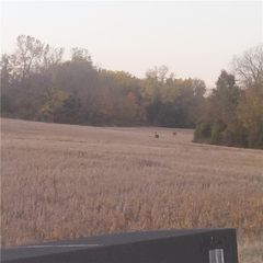 17-Acres E 315th Street, Drexel, MO 64742