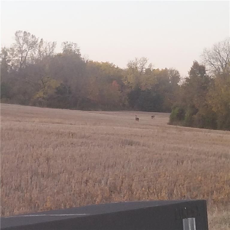 17-Acres E 315th Street, Drexel, MO 64742