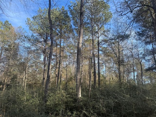 87-22-10 Granite Road, Huntsville, TX 77340