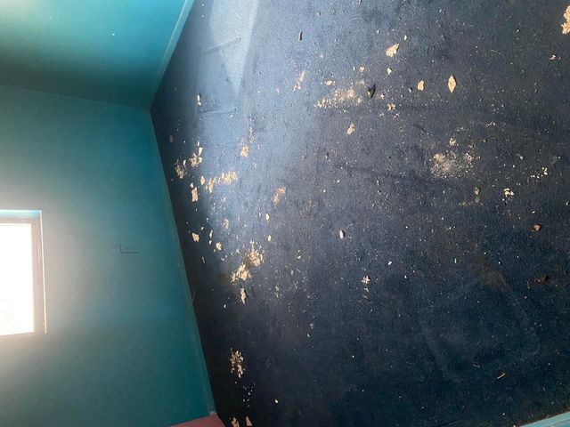 251 W Iowa Avenue, Whitwell, TN 37397