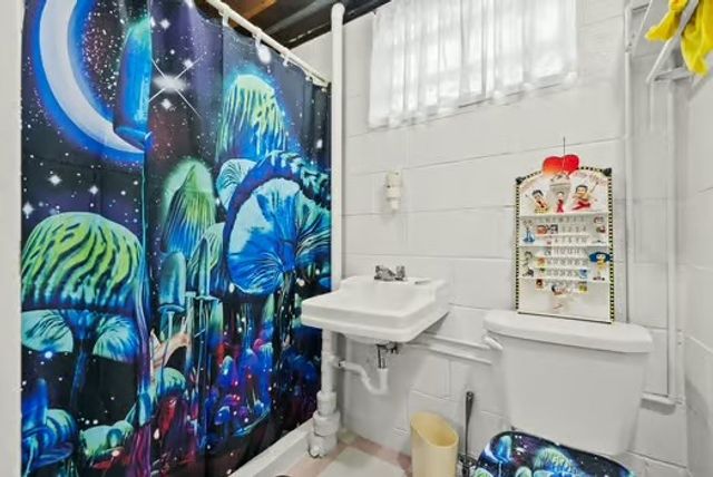 665 Summerlea Ave, City Of Washington, PA 15301