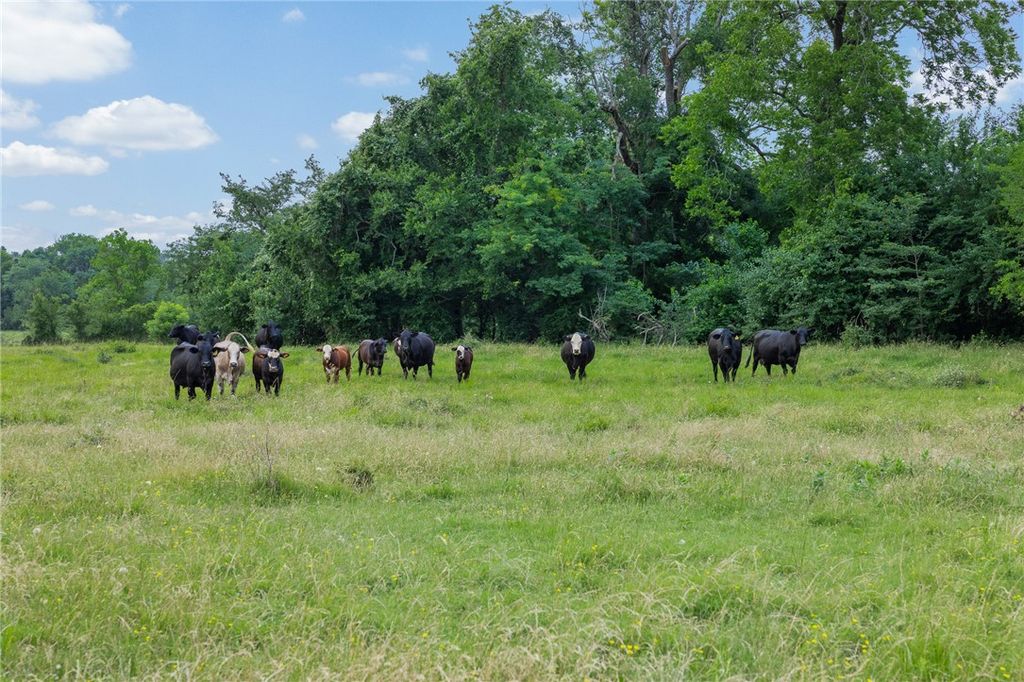 1111 Fm 1486, Richards, TX 77873 — photo 2